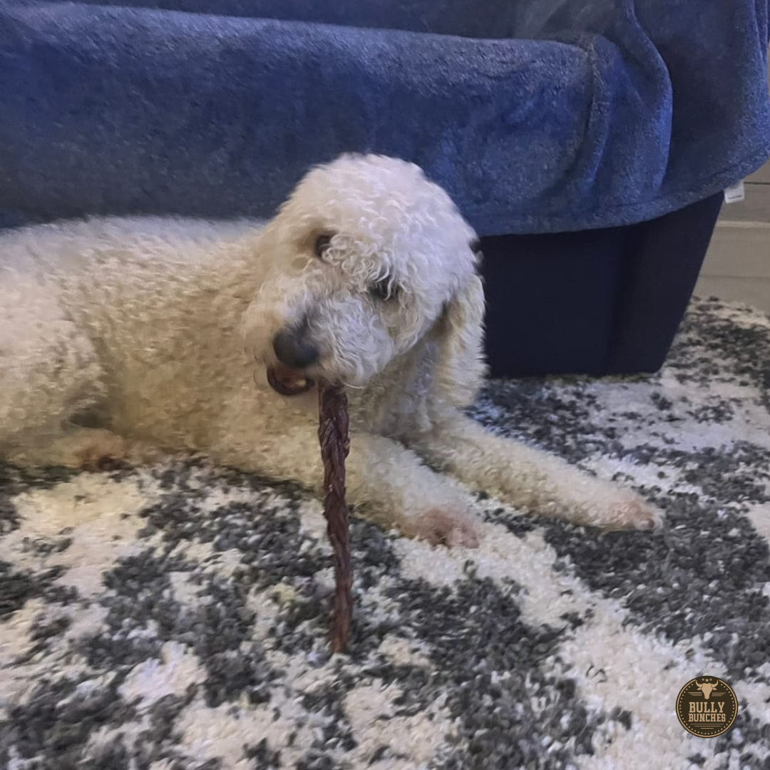 12 Inch Braided Jerky Stick