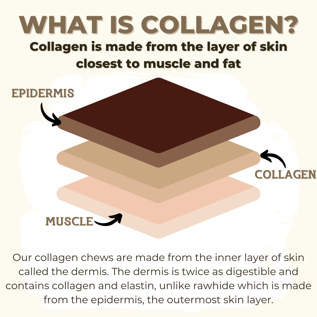 Infographic visually explaining the layers of the Bully Bunches 10-12 inch standard collagen wrapped in bully stick.