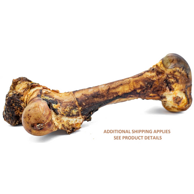A monster beef shin bone dog treat from Bully Bunches.