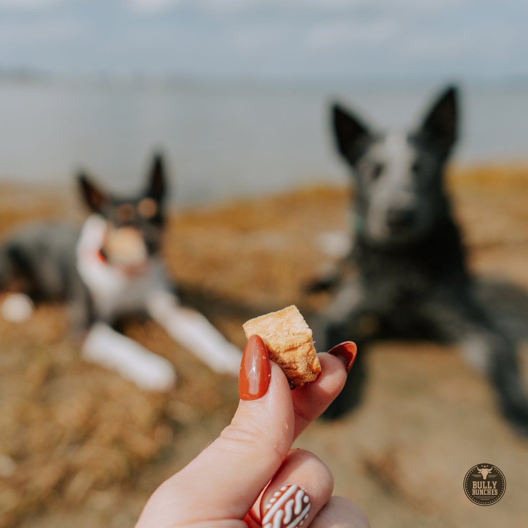 Freeze Dried Salmon (3.52 oz)