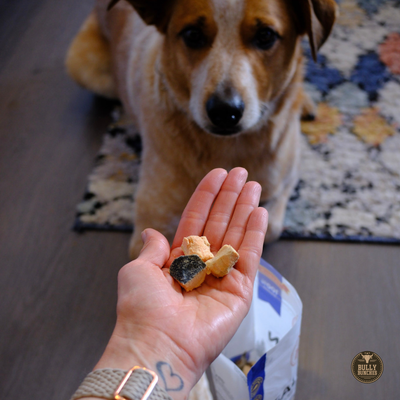 Freeze Dried Salmon (3.52 oz)