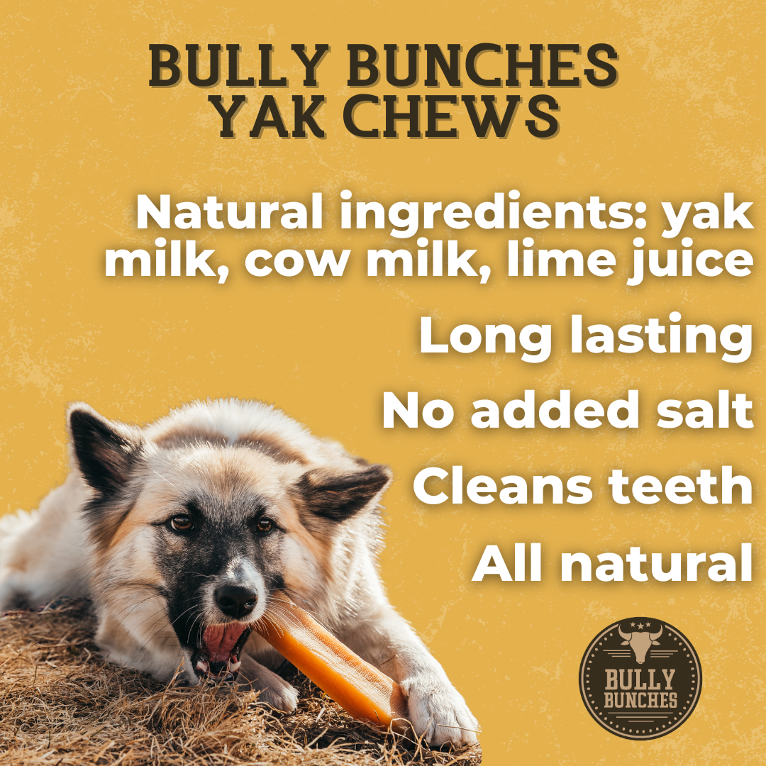 A fluffy dog in an infographic chewing on a himalayan yak chew.