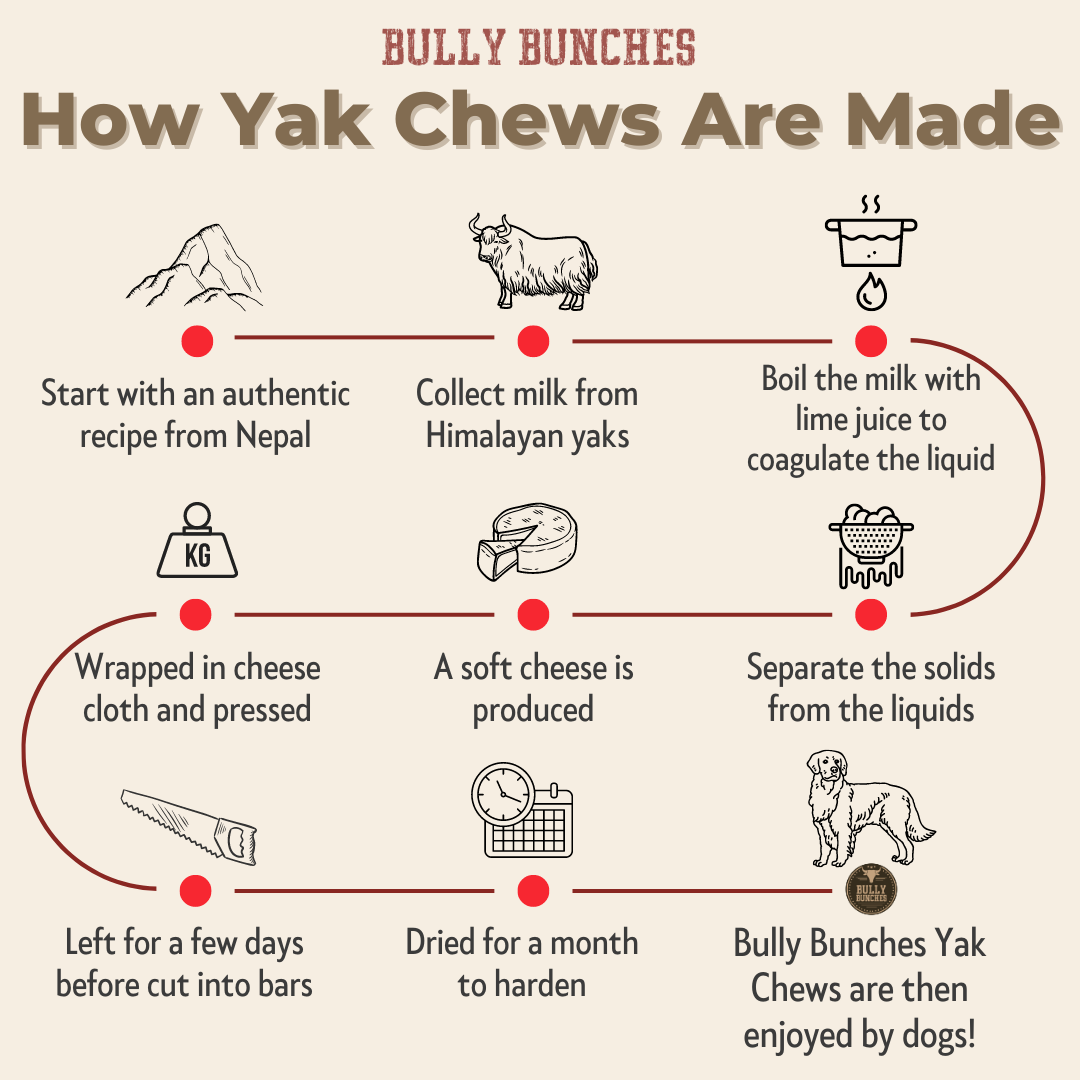 Infographic showing how himalayan yak chews are made.