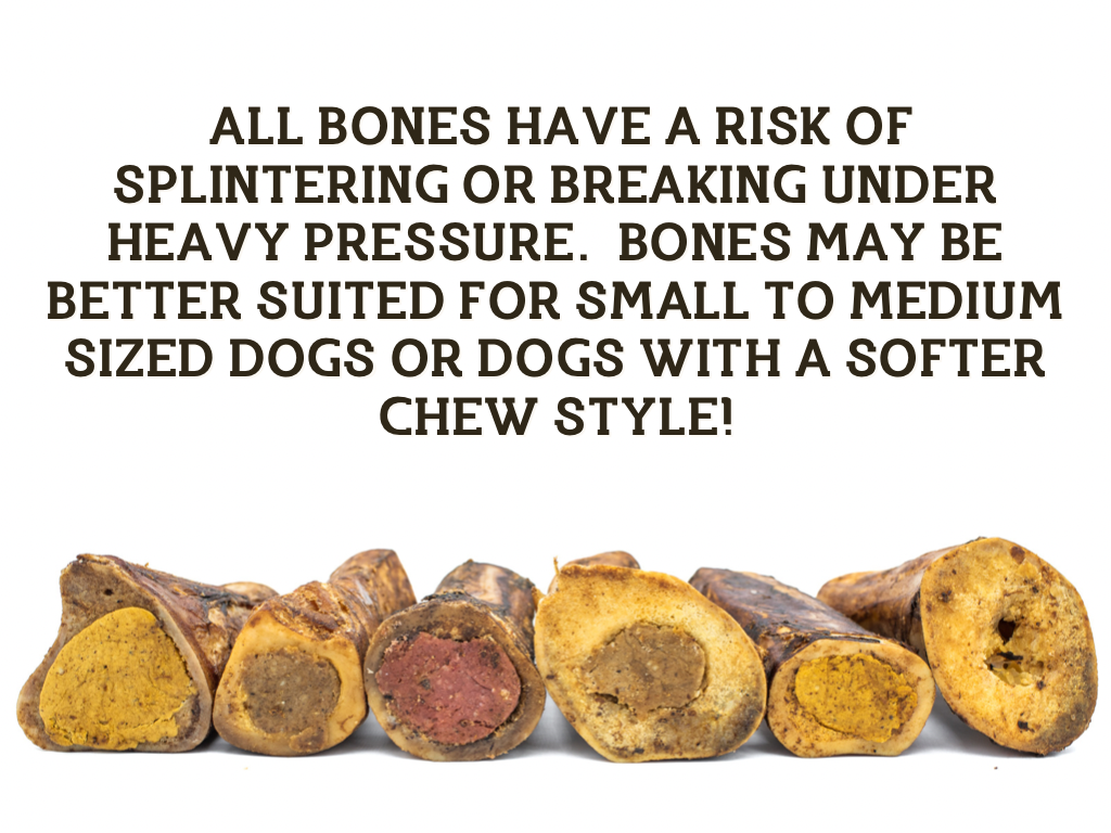 An infographic of a bunch of stuffed bones.