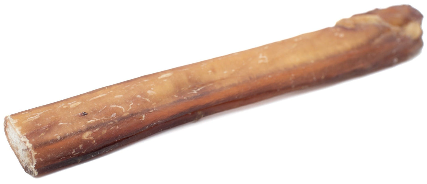 A 12 inch mega bully stick limited dog treat from Bully Bunches.