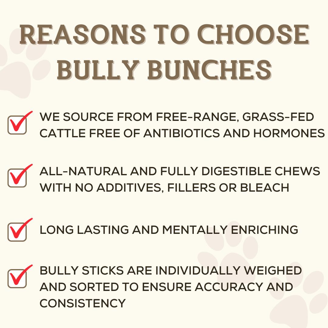 Infographic of reasons to choose Bully Bunches.