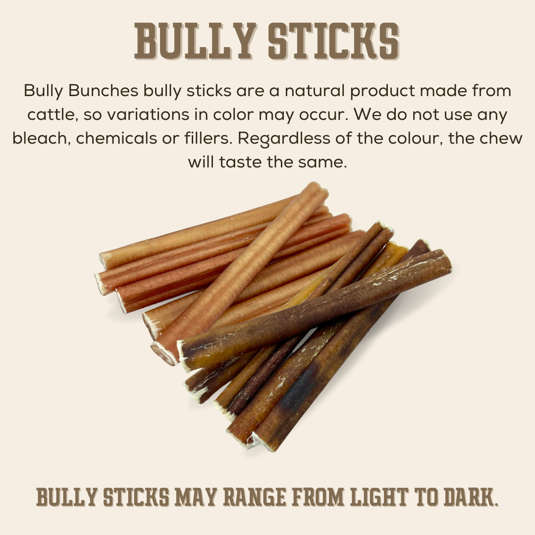 A bunch of 12 inch mega bully stick limited dog treats from Bully Bunches.