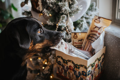 Best Christmas Gifts for Dogs and Pet Lovers