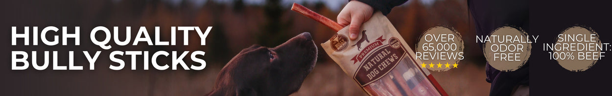 BULLY STICKS