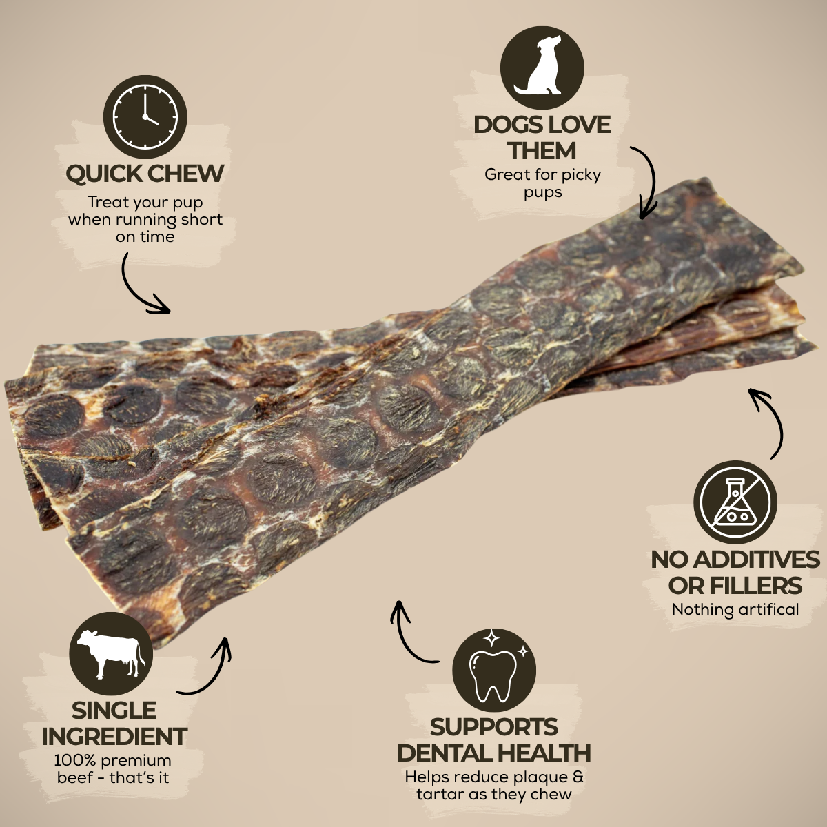 12 Inch Beef Jerky Strip