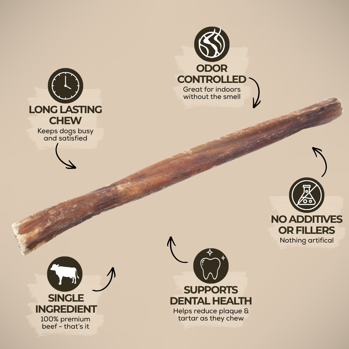 10-12 Inch Champion Chew