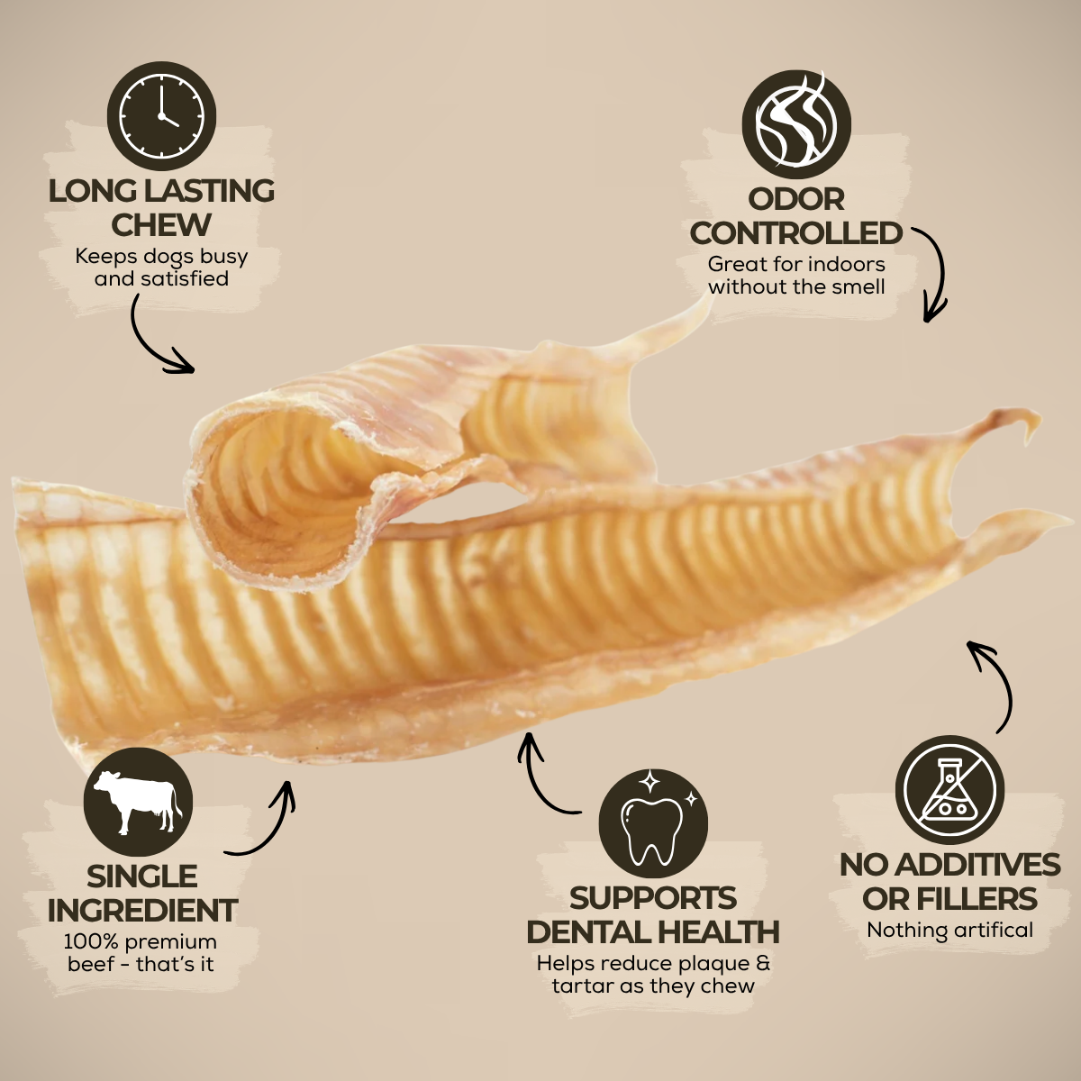 12 Inch Beef Trachea