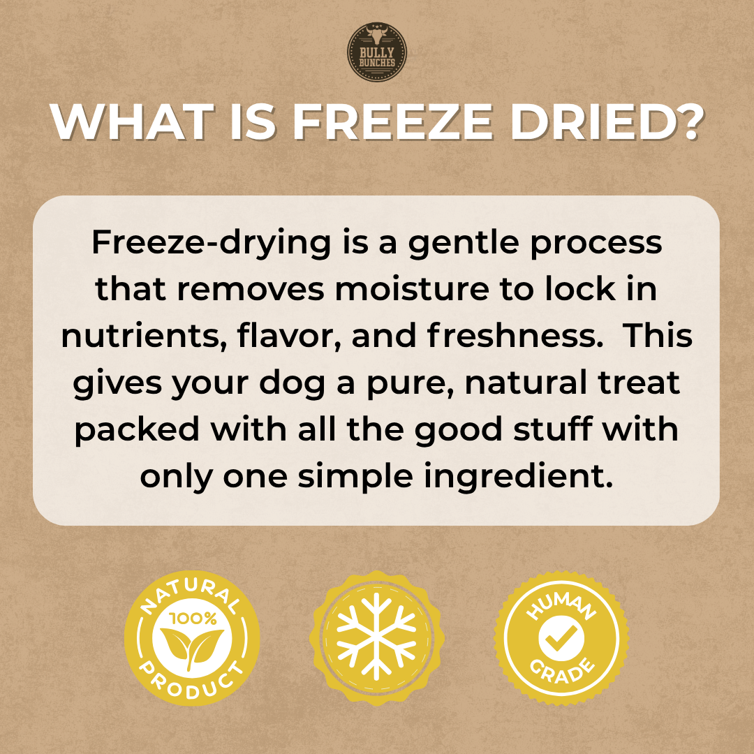 Freeze Dried Chicken (3.52 oz)