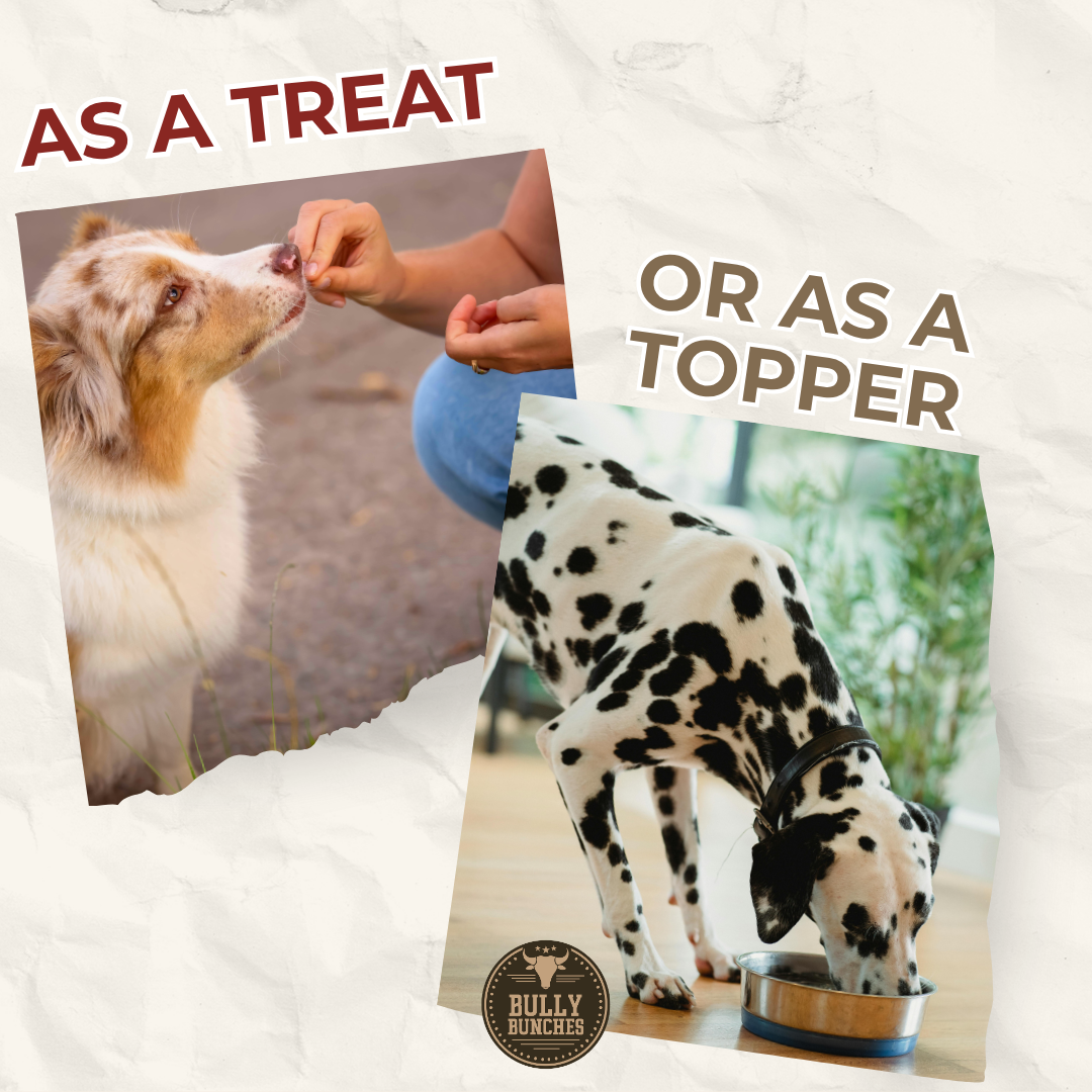 Freeze Dried Chicken (3.52 oz)