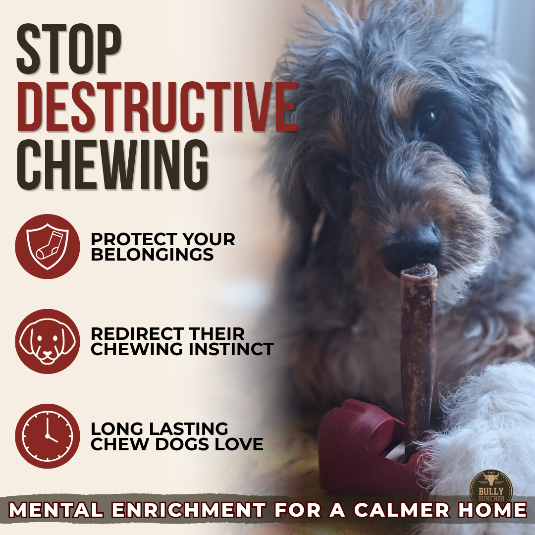5-6 Inch Champion Chew