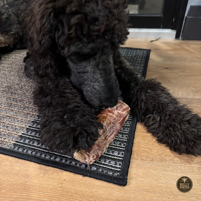 6 Inch Trachea Wrapped in Jerky