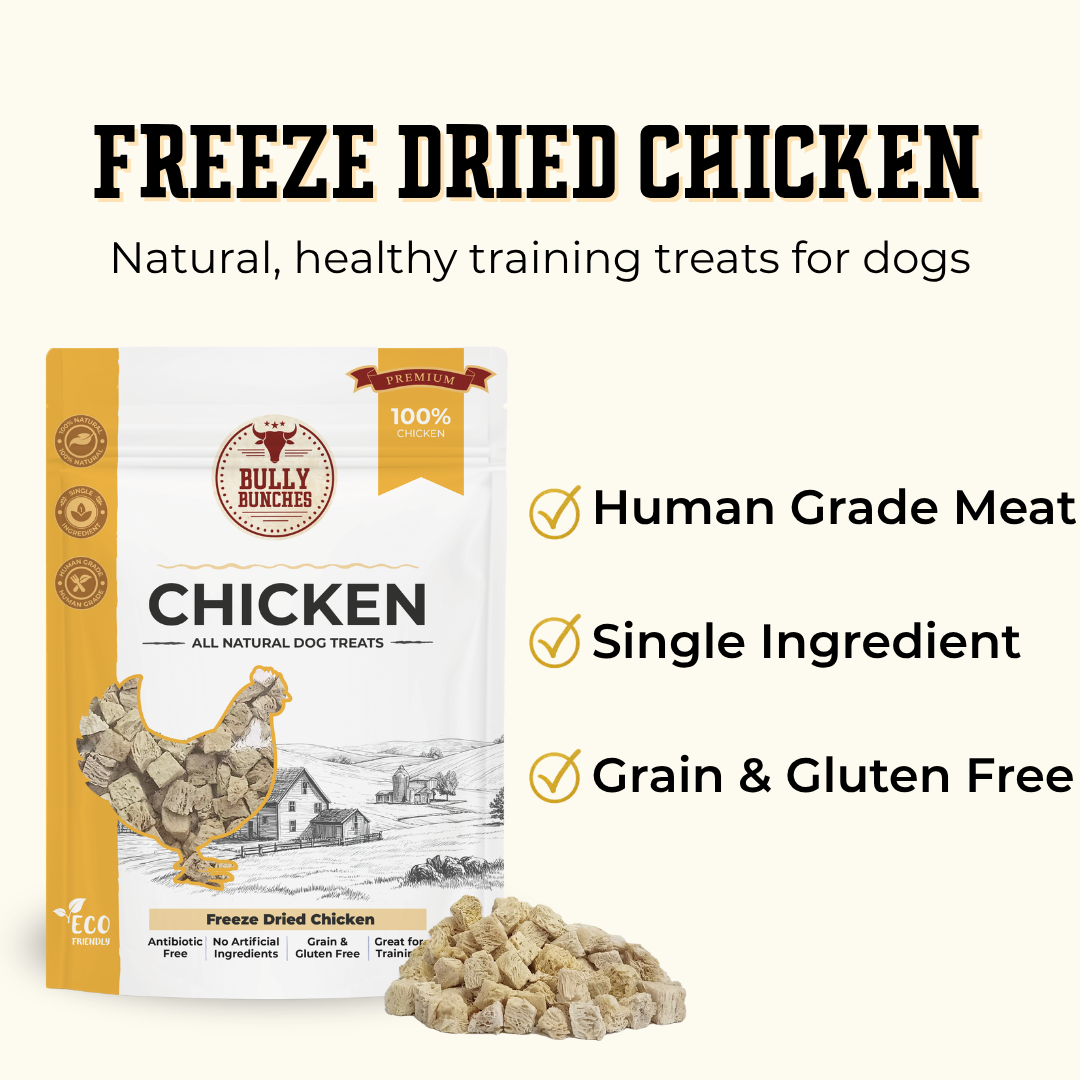 Freeze Dried Chicken (3.52 oz)