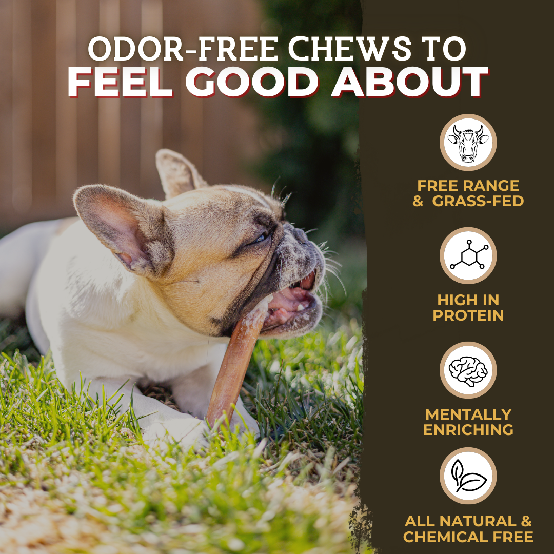 6 Inch Thick Bully Stick