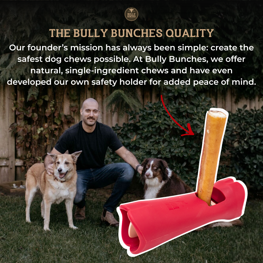 6 Inch Thick Bully Stick