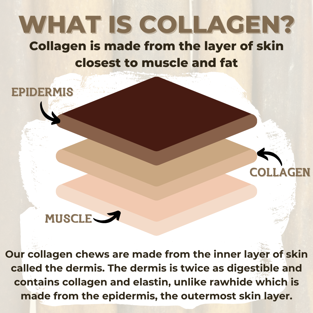 10-12 Inch Braided Collagen Stick