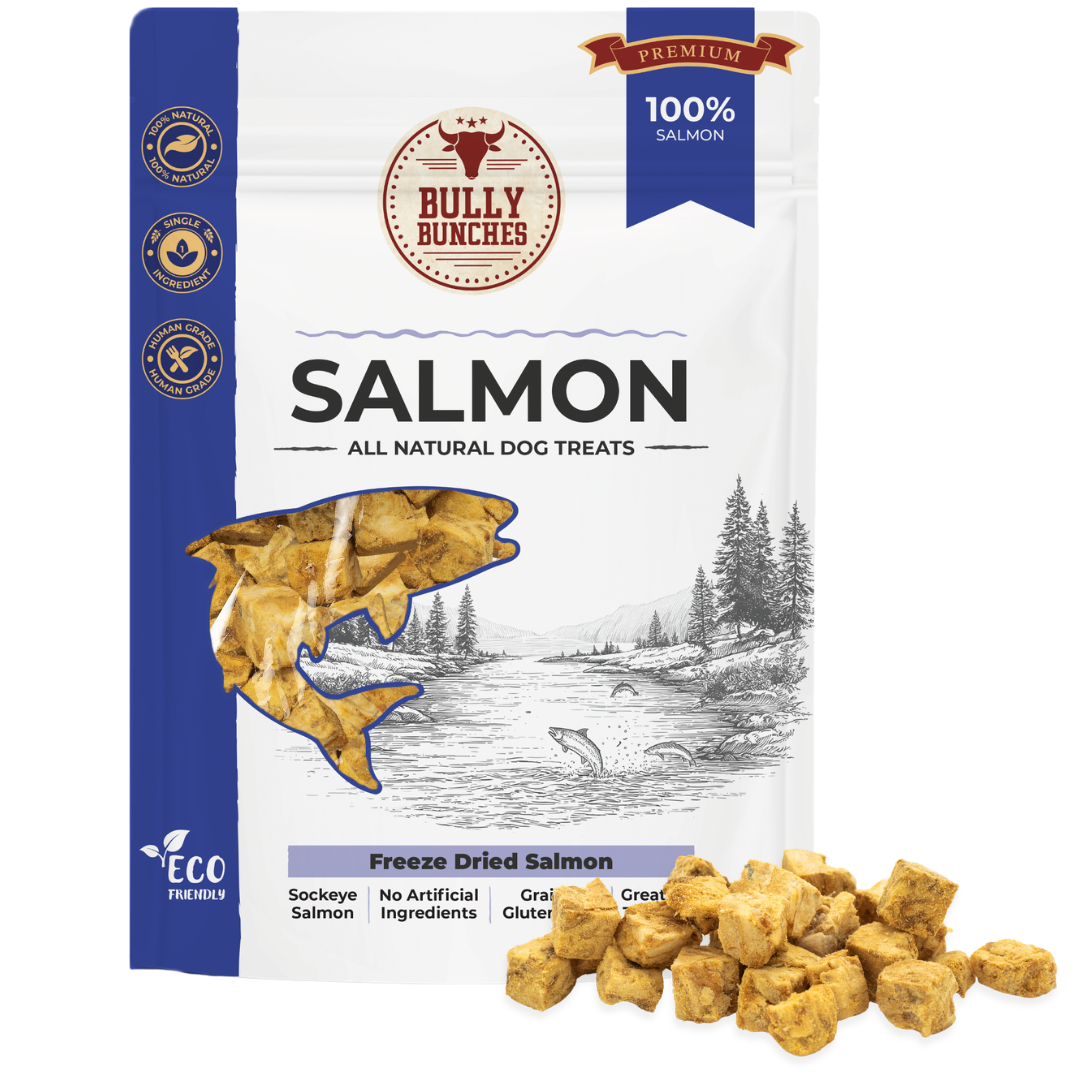 Freeze Dried Salmon (3.52 oz)