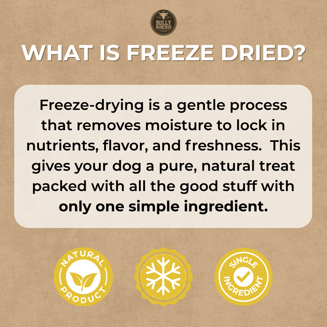 Freeze Dried Flavor Bundle (3.52 oz x3)