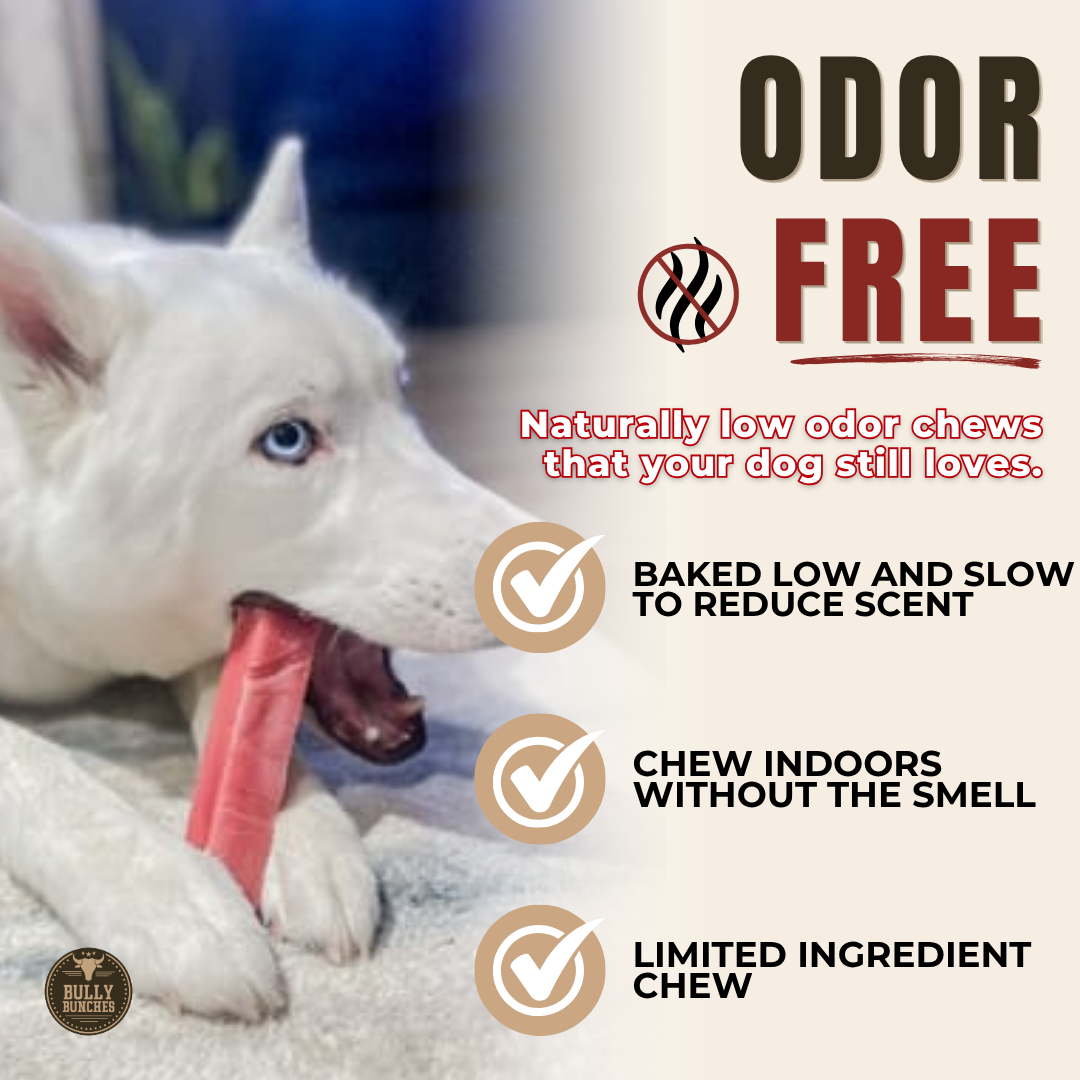 Strawberry Himalayan Yak Chew (MEDIUM)