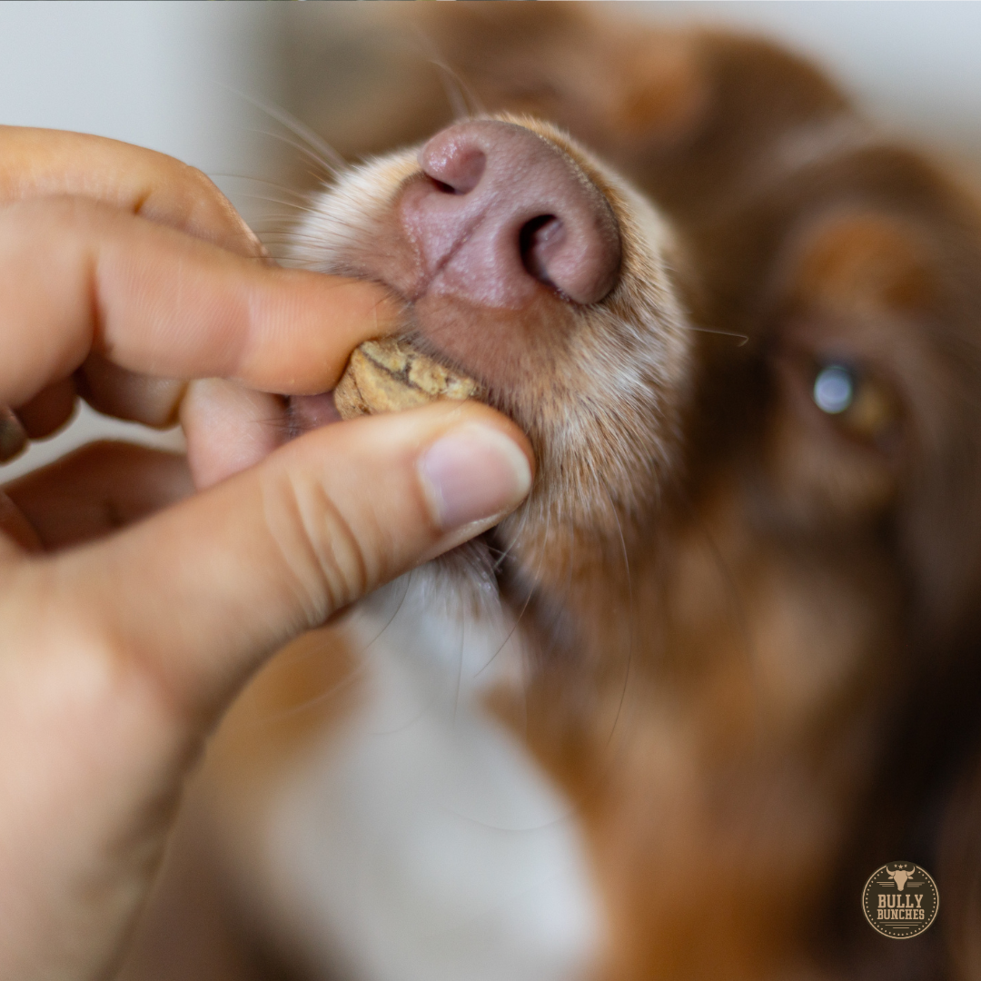 Freeze Dried Beef Liver (3.52 oz)