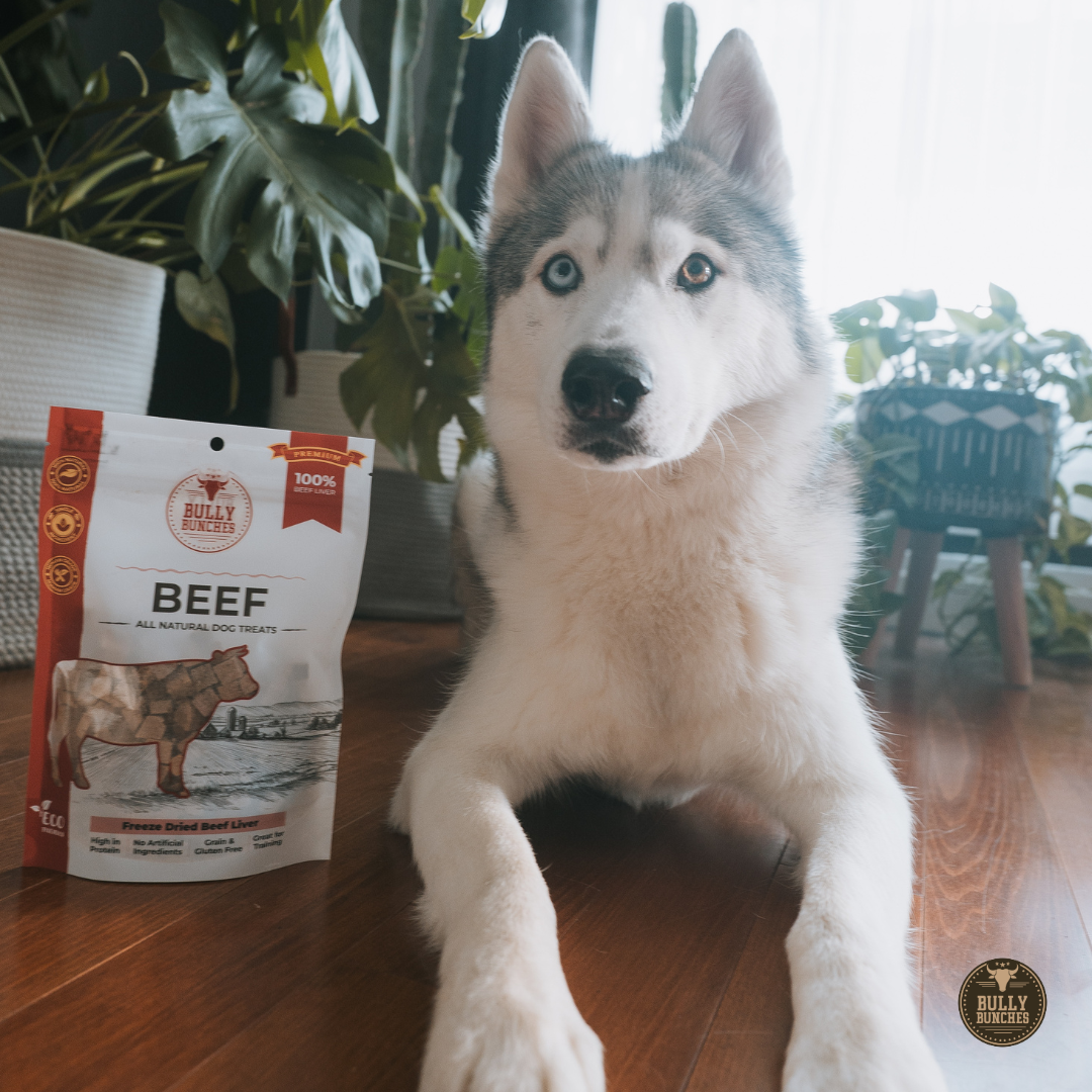 Freeze Dried Beef Liver (3.52 oz)