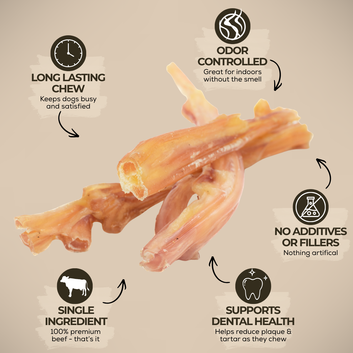 Beef Tendon