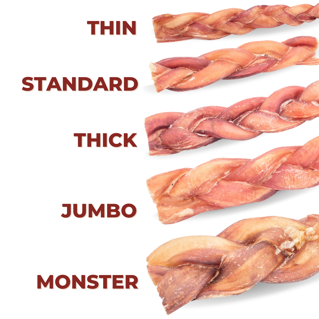 Comparison of bully stick sizes in thin, standard, thick, jumbo, and monster.