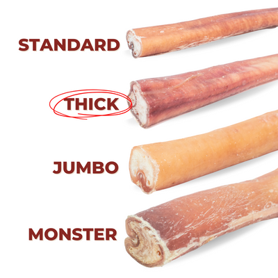 6 Inch Thick Bully Stick