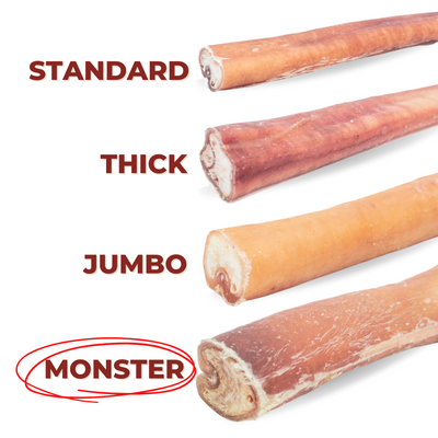 6 Inch Monster Bully Stick