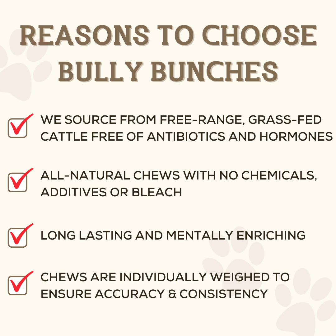 Reasons to choose Bully Bunches treats, specifically the 6 inch thin braided bully stick.