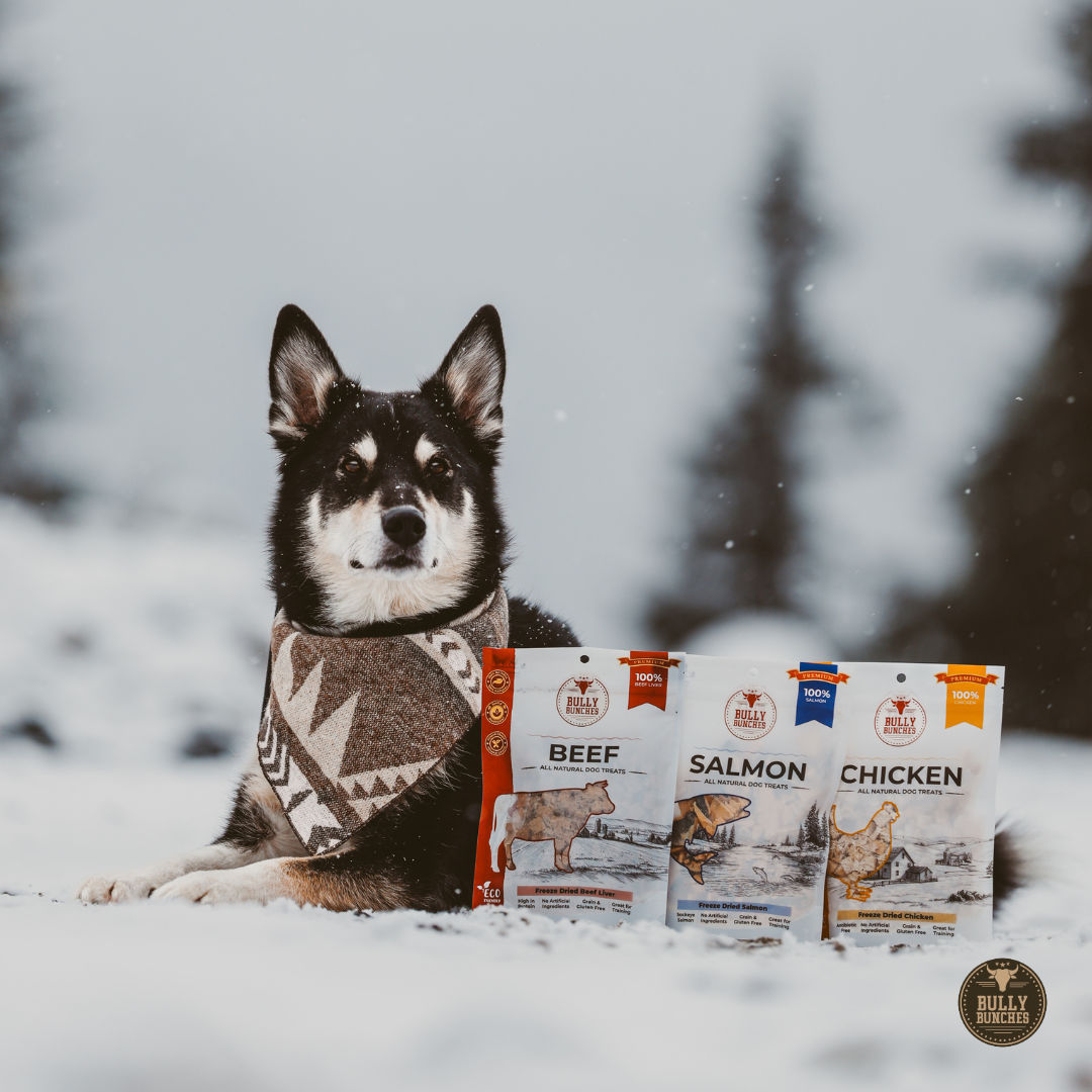 Freeze Dried Flavor Bundle (3.52 oz x3)