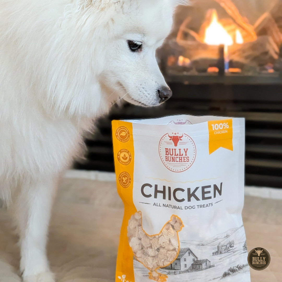 Freeze Dried Chicken (3.52 oz)