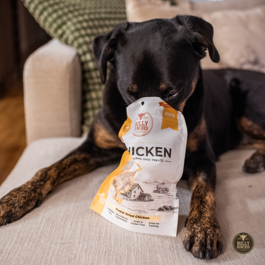 Freeze Dried Chicken (3.52 oz)