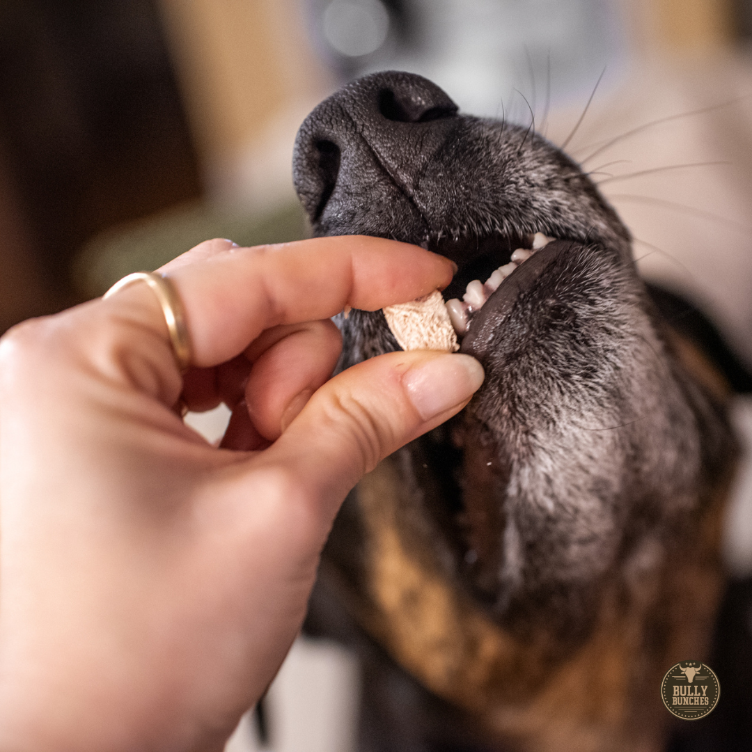 Freeze Dried Chicken (3.52 oz)