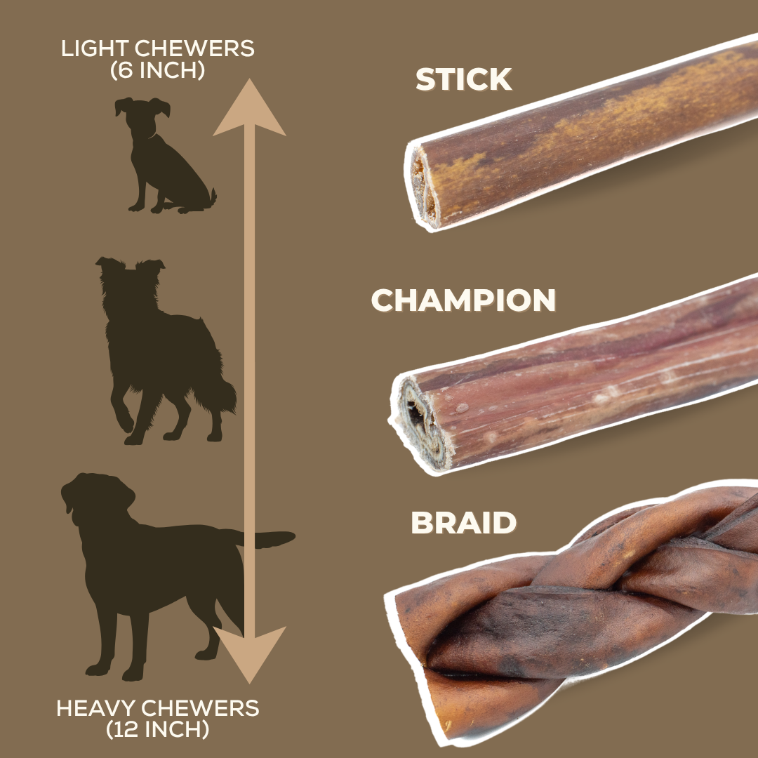 10-12 Inch Braided Collagen Stick