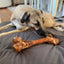 Monster Femur Bone