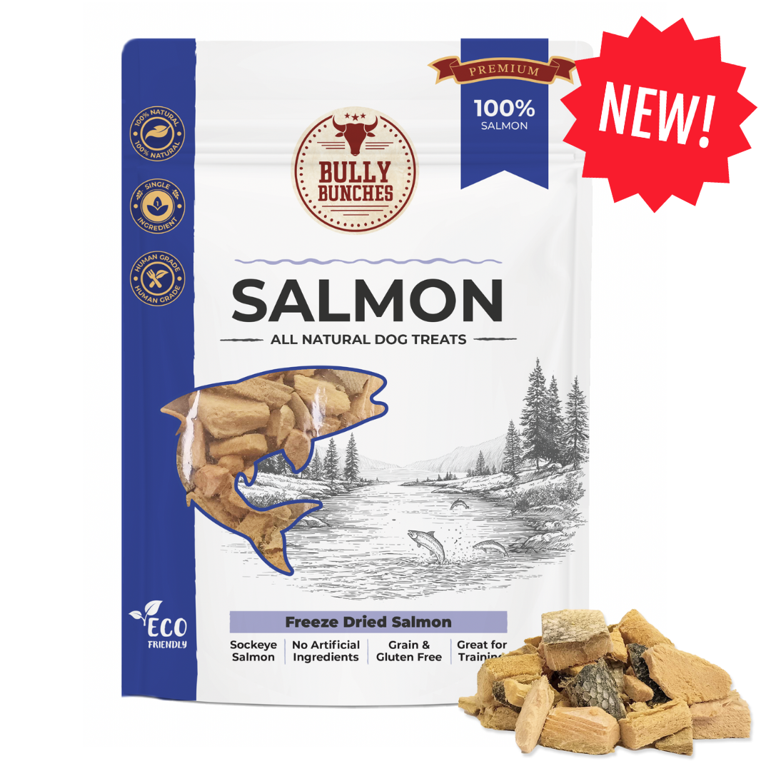 Freeze Dried Salmon (3.52 oz)