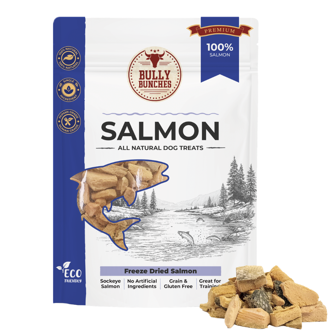 Freeze Dried Salmon (3.52 oz)