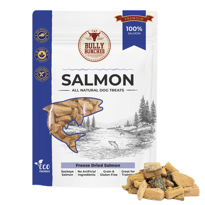 Freeze Dried Salmon (3.52 oz)