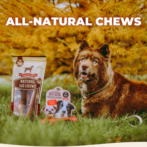 Best Chews for Dogs Bully Bunches