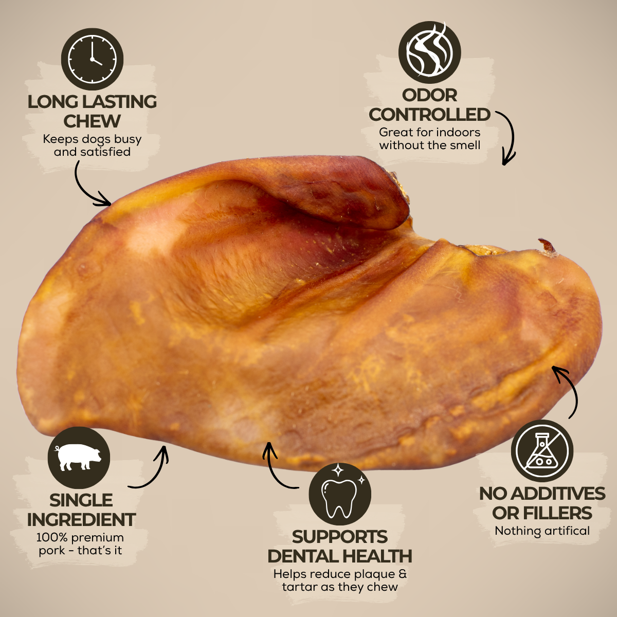 Whole Pig Ear