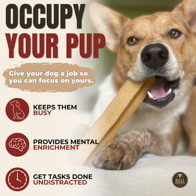 Himalayan Yak Chew (EXTRA LARGE)