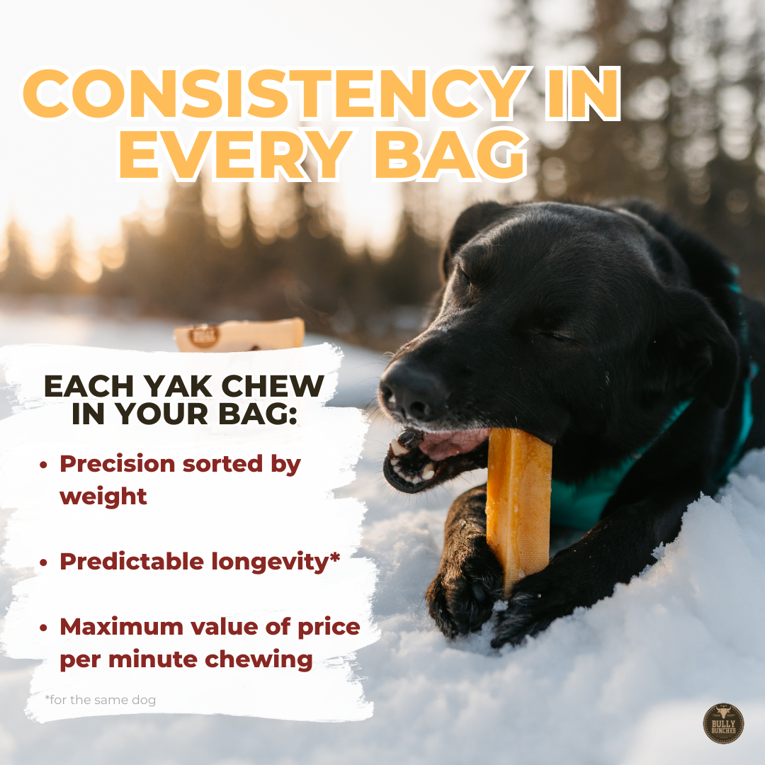 Himalayan Yak Chew (SMALL)