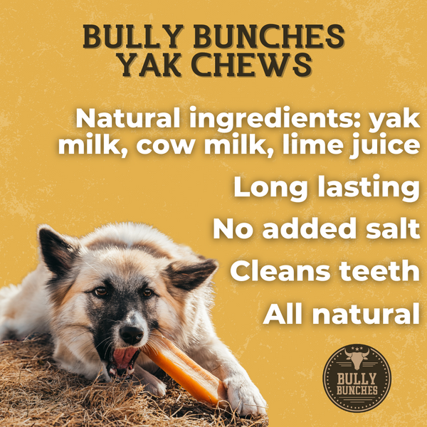 Large Yak Chew | Bully Bunches